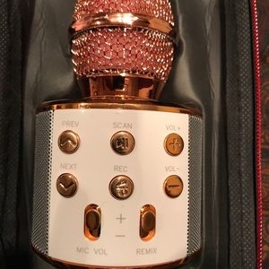 Karaoke Microphone